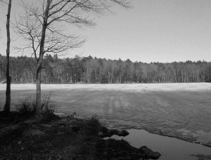 ©Elizabeth T Schoch - Winter Shadows