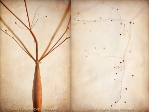 Desert Afterlife 1 Diptych ©2011 Jessica Rogers Photography