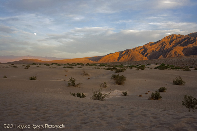 Mesquite Flat Dunes Moonrise ©2011 Jessica Rogers Photography