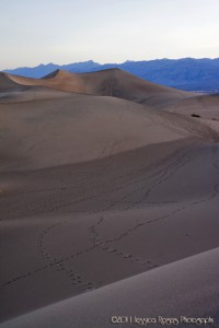 Mesquite Flat Dunes Sunrise 1 ©2011 Jessica Rogers Photography