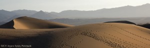 Mesquite Flat Dunes Sunrise 4 ©2011 Jessica Rogers Photography