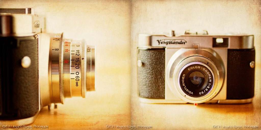 Voigtlander Diptych ©2011 Jessica Rogers Photography