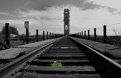 Brazos Bridge Trespasser ©Carolyn Younger