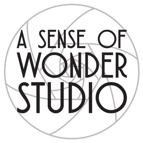 Wonder studio. Вандер студия. Студия Вандер Медиа. Wonder Studio новости.